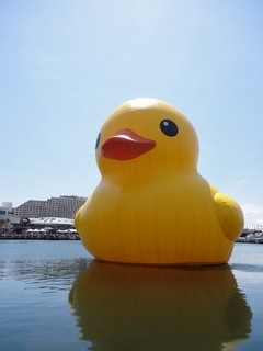 Syd Festival Duck (4) (480x640).jpg